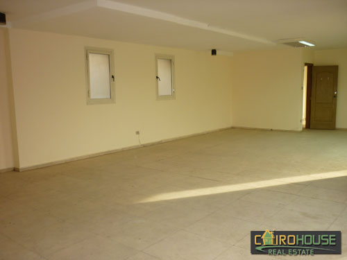 Cairo House Real Estate Egypt :Commercial Apartment in New Maadi