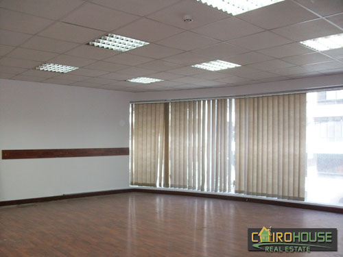 Cairo House Real Estate Egypt :Administrative Offices in Maadi Degla