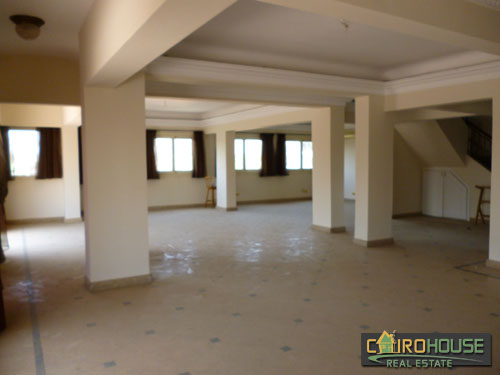 Cairo House Real Estate Egypt :Residential Penthouse in Old Maadi