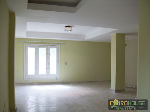 Cairo House Real Estate Egypt :Residential Penthouse in Maadi Degla