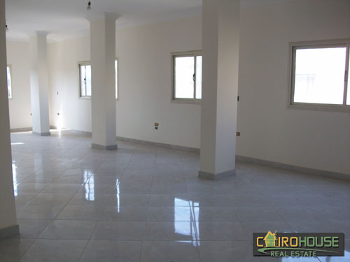 Cairo House Real Estate Egypt :Residential Penthouse in Maadi Degla