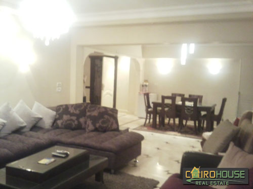 Cairo House Real Estate Egypt :Residential Roof in Dokki