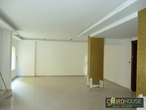 Cairo House Real Estate Egypt :Commercial Shop in New Maadi